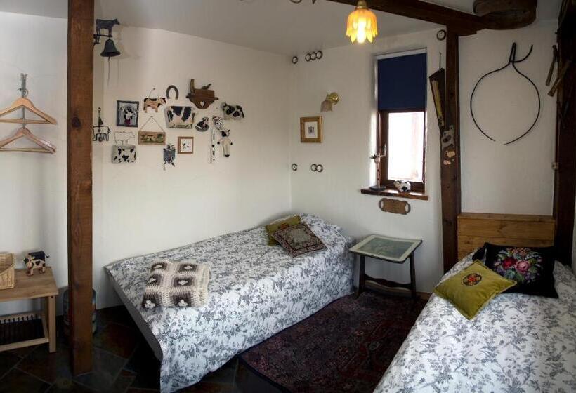 اتاق استاندارد با سرویس بهداشتی مشترک, Raven S Bed