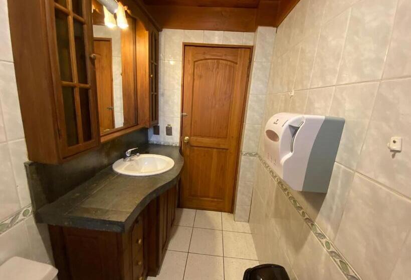 اتاق استاندارد با سرویس بهداشتی مشترک, Hostal El Nogal Pucón