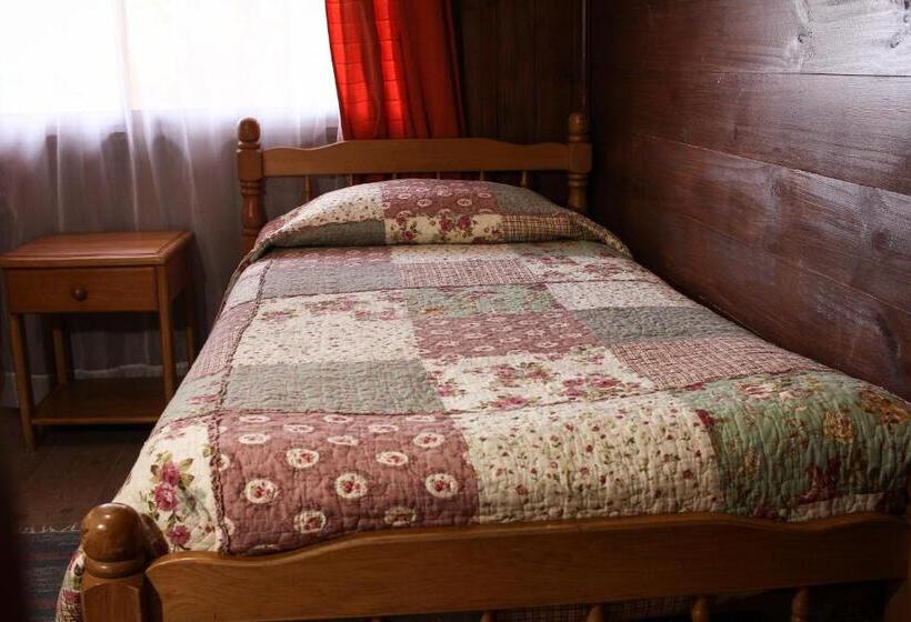 اتاق استاندارد با سرویس بهداشتی مشترک, Hostal El Nogal Pucón