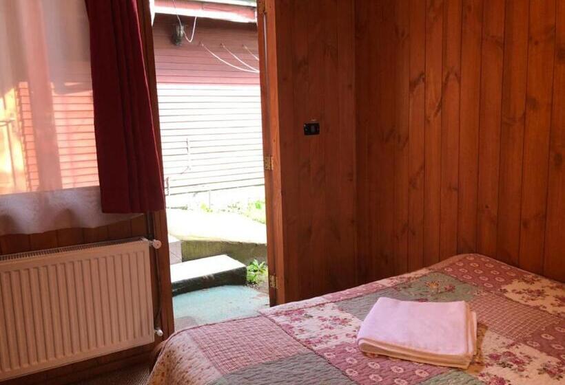 اتاق اکونومی, Hostal El Nogal Pucón