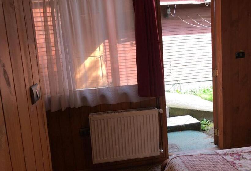 اتاق اکونومی, Hostal El Nogal Pucón