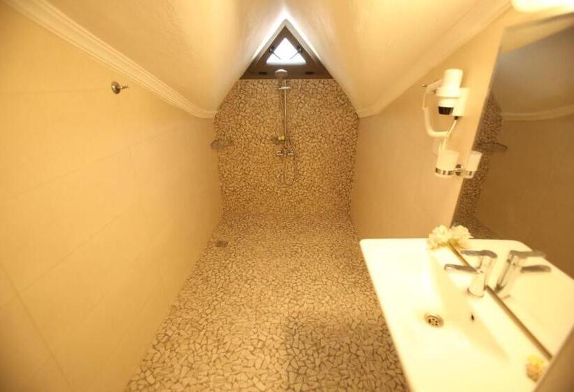 اتاق پنت هاوس, Aria Doria Otel