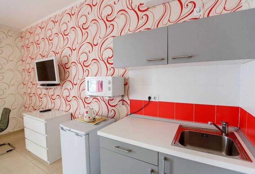 标准间, Amosov S House
