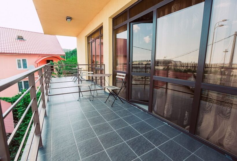 标准间, Amosov S House