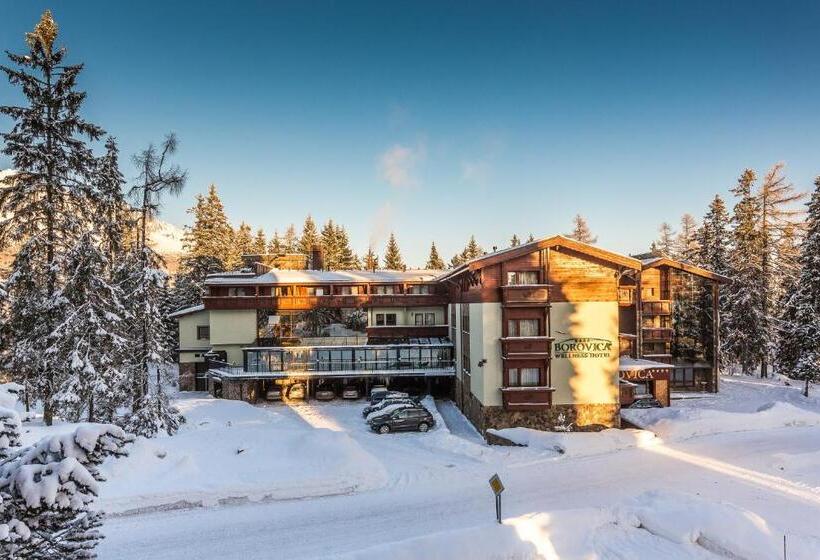 سوئیت پریمیوم, Aplend Wellness Hotel Borovica