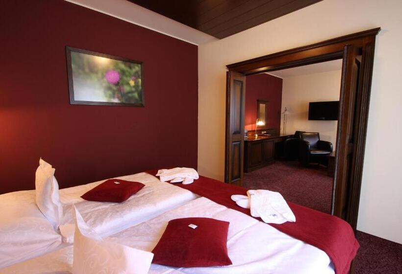 سوئیت پریمیوم, Aplend Wellness Hotel Borovica
