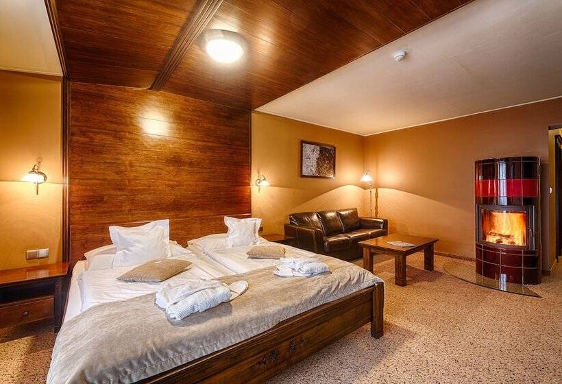 اتاق لوکس, Aplend Wellness Hotel Borovica