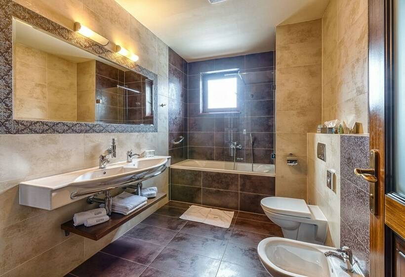 اتاق کلاسیک, Aplend Wellness Hotel Borovica