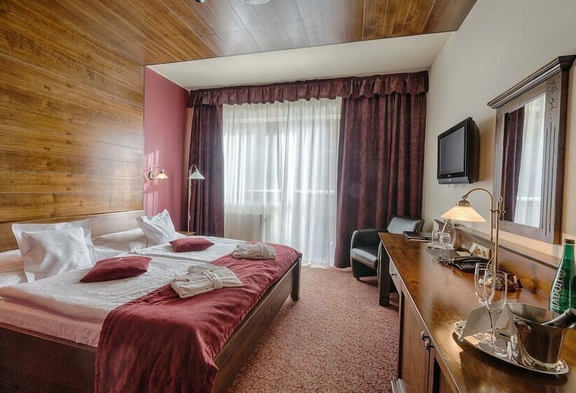 اتاق کلاسیک, Aplend Wellness Hotel Borovica