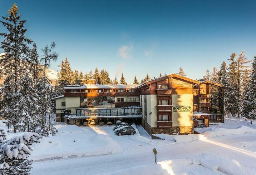 اتاق کلاسیک, Aplend Wellness Hotel Borovica