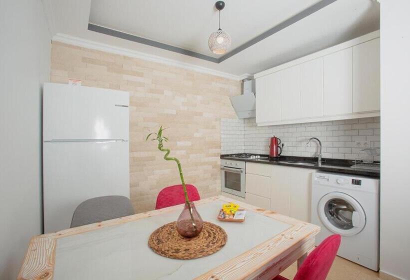استودیوی استاندارد, Cedrus Suites