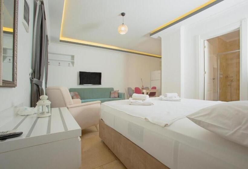استودیوی استاندارد, Cedrus Suites