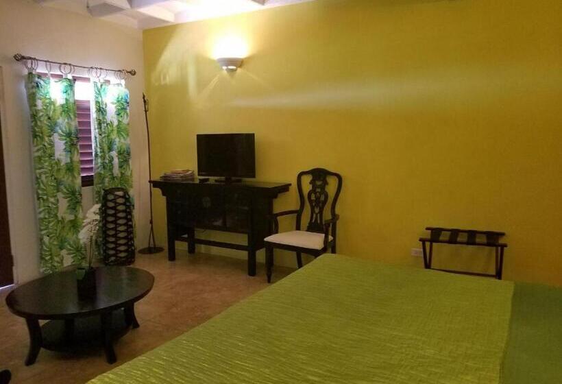 آپارتمان 1 خوابه با چشم‌انداز دریا, Villa Touloulou