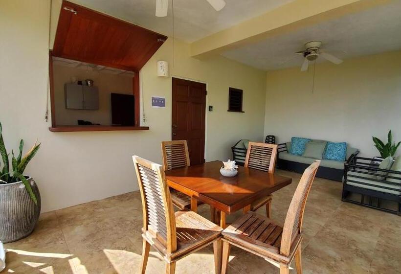 آپارتمان 1 خوابه با چشم‌انداز دریا, Villa Touloulou