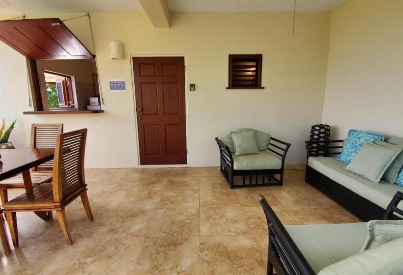آپارتمان 1 خوابه با چشم‌انداز دریا, Villa Touloulou