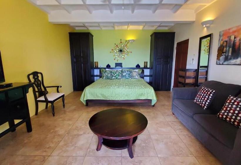 آپارتمان 1 خوابه با چشم‌انداز دریا, Villa Touloulou
