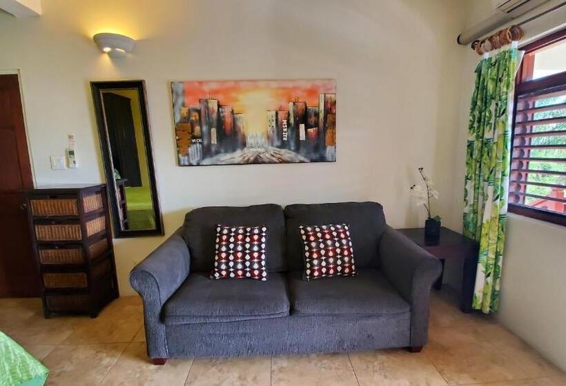 آپارتمان 1 خوابه با چشم‌انداز دریا, Villa Touloulou