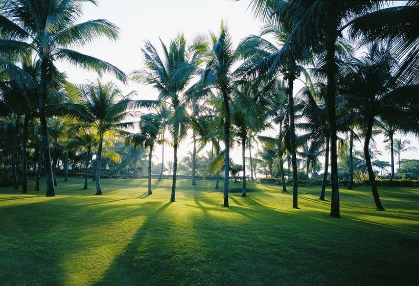 اتاق لوکس, Shangrila Mactan, Cebu