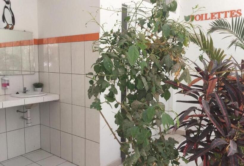 اتاق استاندارد سه تخته با سرویس بهداشتی مشترک, Paracas Backpackers House
