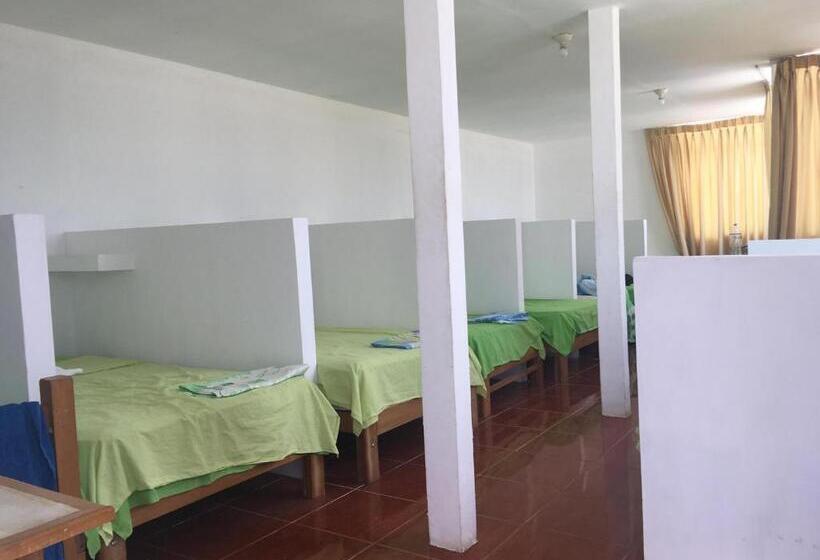 Bed in Shared Room with Shared Bathroom, Paracas Backpackers House