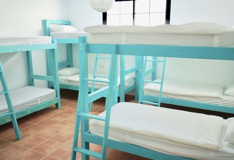 سرير فى غرفة مشتركه, Surfers Retreat