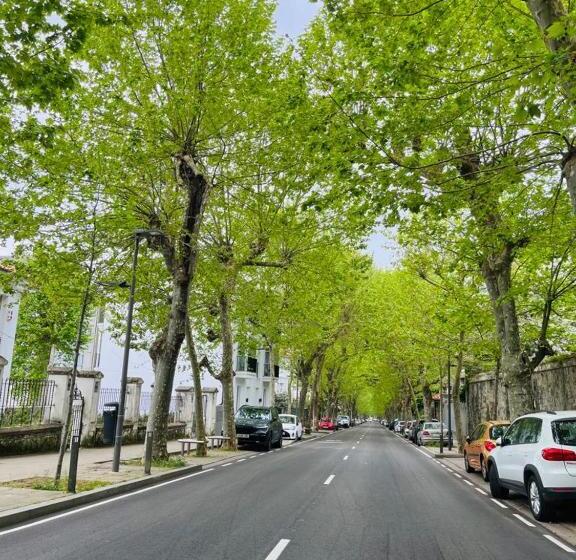 سوئیت دولوکس با چشم‌انداز, Royal Suite Santander