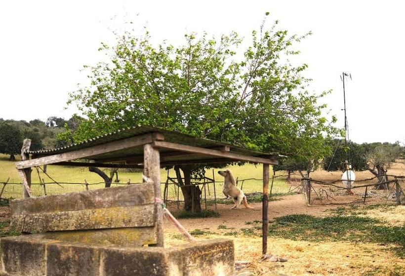 آپارتمان 1 خوابه با تراس, Finca Hotel Ses Cases Noves
