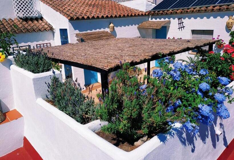 آپارتمان 2 خوابه با تراس, Casa Campana