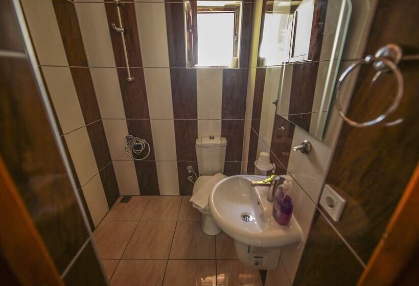 ویلای سوپریور 1 خوابه, Cirali Villa Zeytin