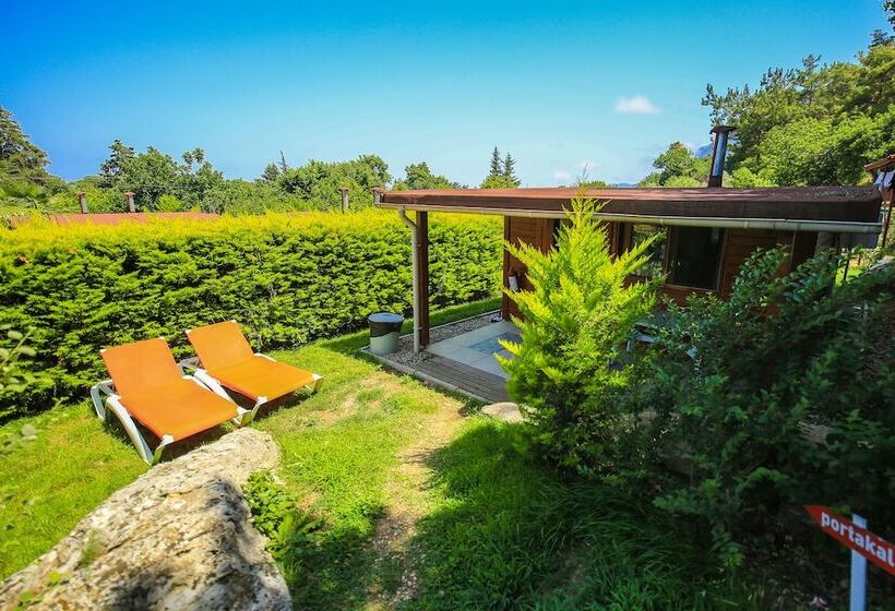 ویلای سوپریور 1 خوابه, Cirali Villa Zeytin