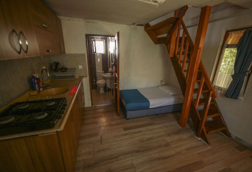 ویلای سوپریور 1 خوابه, Cirali Villa Zeytin
