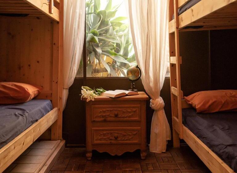 Кровать в Общей Комнате, Los Amigos Nest Hostel