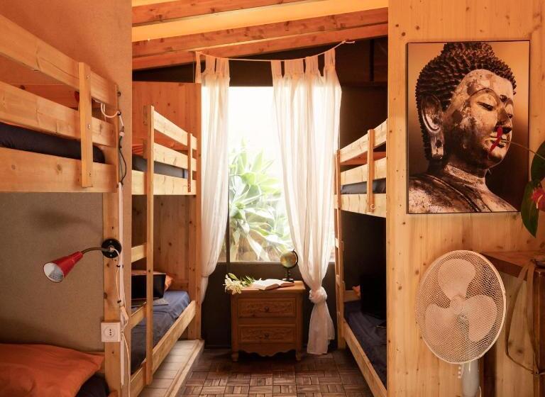 Кровать в Общей Комнате, Los Amigos Nest Hostel