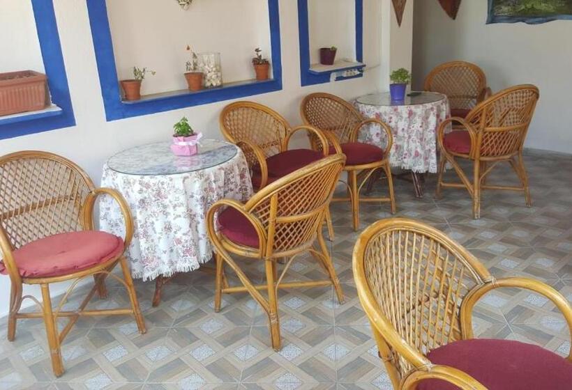 اتاق استاندارد یک نفره, Mavi Pansiyon