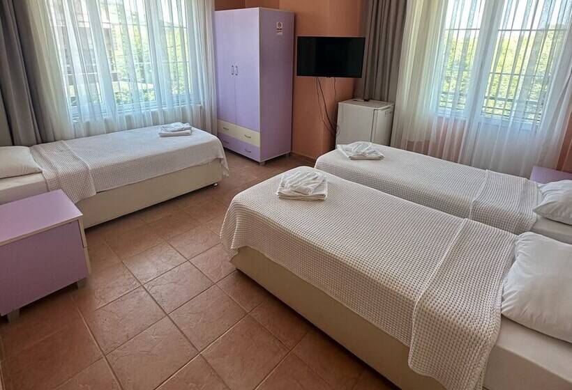 اتاق استاندارد سه تخته با بالکن, Villa D Or Butik Otel