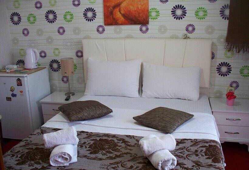 اتاق استاندارد, Gozde Pansiyon Otel