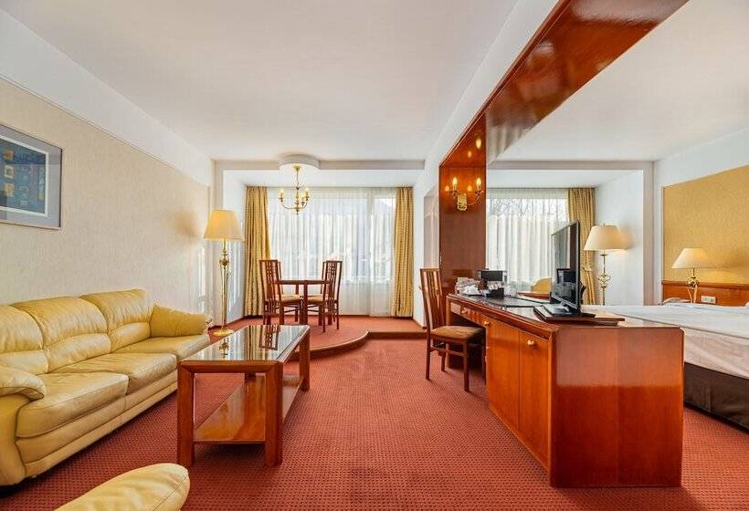 Suite Junior, Aro Palace