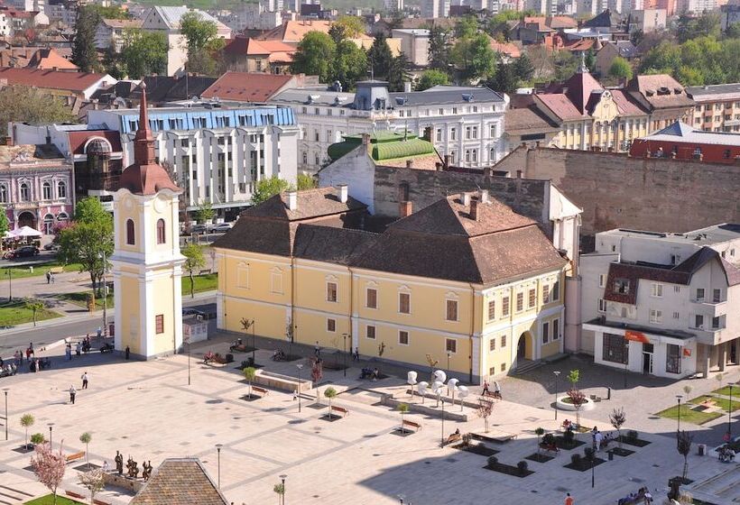 Standaard Éénpersoonskamer, Continental Tirgu Mures