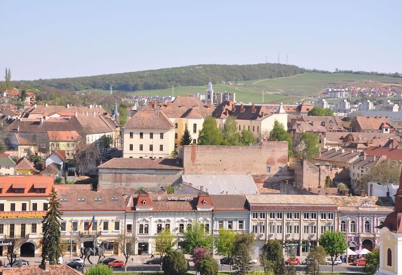 Standaard Éénpersoonskamer, Continental Tirgu Mures