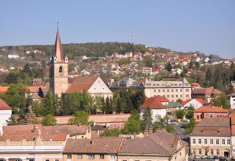 اتاق استاندارد, Continental Forum Tirgu Mures
