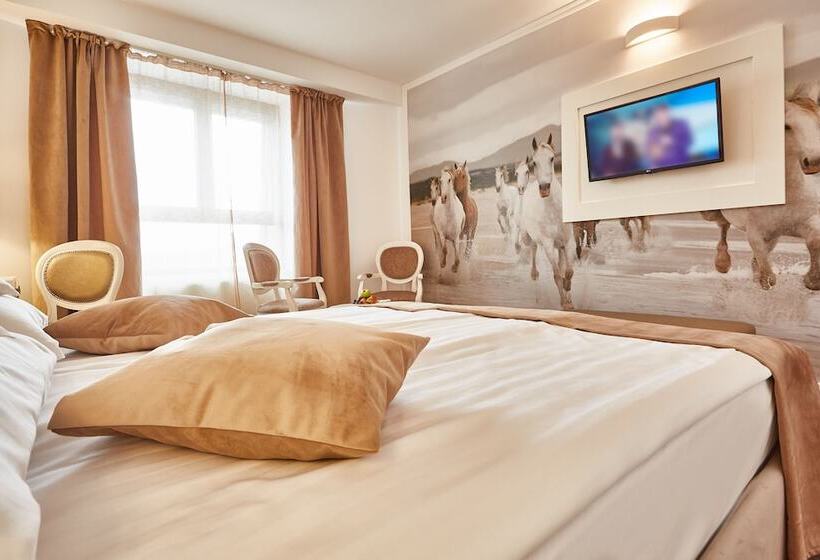 Chambre Deluxe, Continental Tirgu Mures