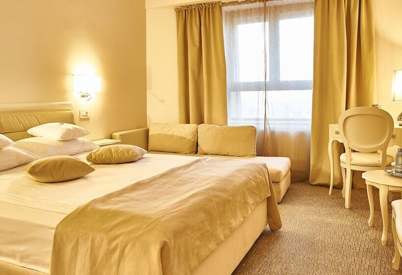 Chambre Deluxe, Continental Tirgu Mures