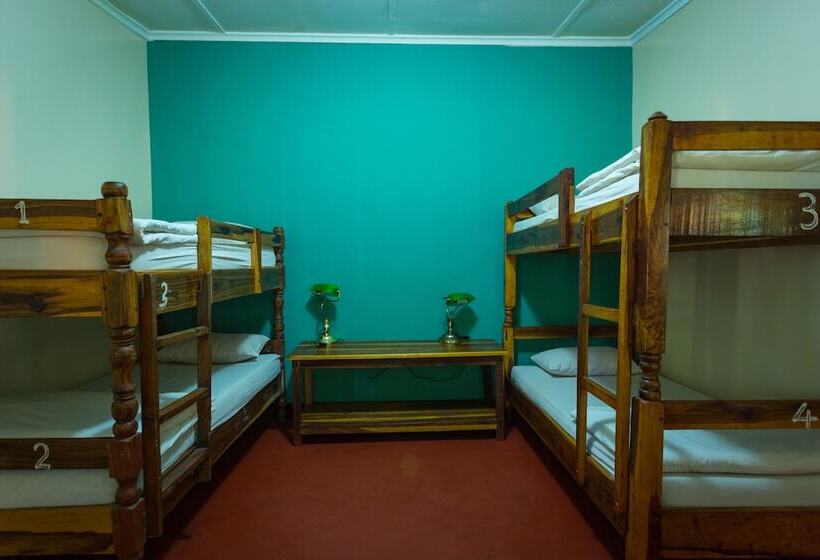 تختخواب در اتاق مشترک, Jollyboys Camp   Hostel