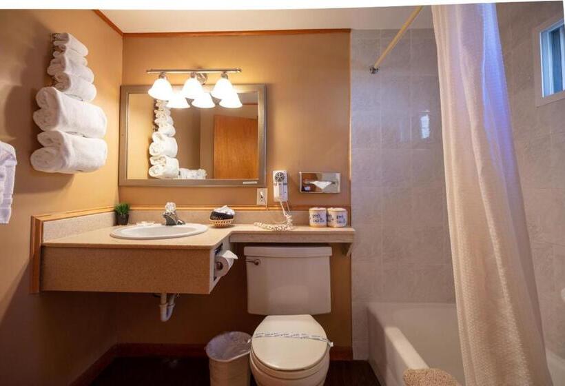 اتاق استاندارد, Ouray Inn