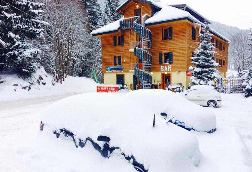 تختخواب در اتاق مشترک, 1861 Chatel Hostel