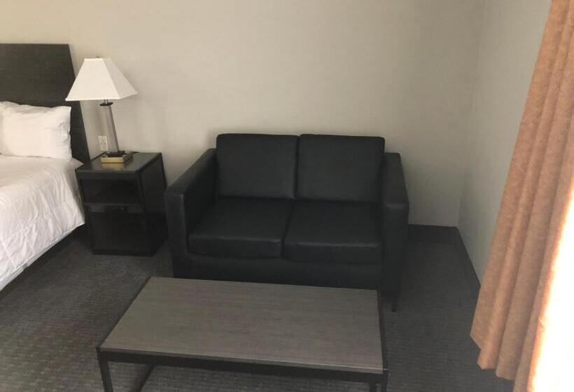 اتاق استاندارد با تخت بزرگ, Lea County Inn