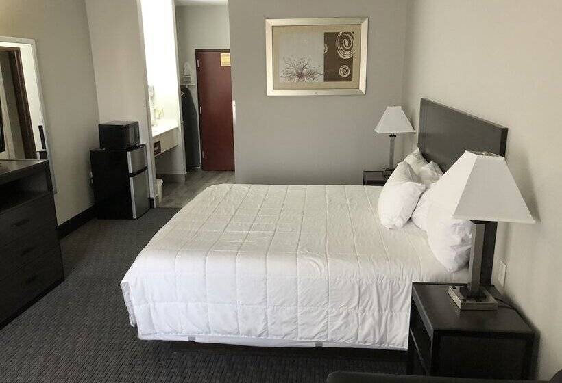 اتاق استاندارد یک تخته برای معلولان, Lea County Inn