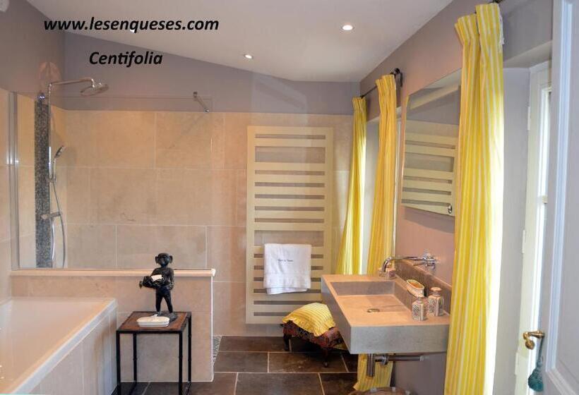 اتاق لوکس, La Bastide Des Enquèses