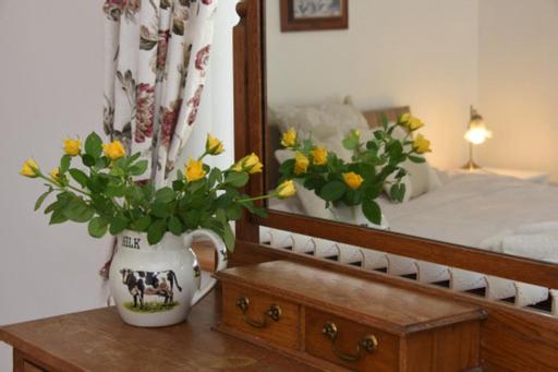اتاق استاندارد برای معلولان, Melin Tregib