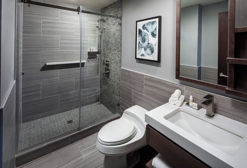 اتاق استاندارد, Indigo Flushing   Laguardia